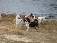 IMG 9382