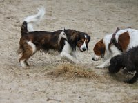 IMG 9389