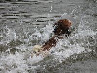 IMG 9394