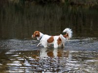 IMG 4061