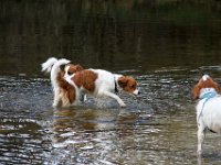 IMG 4062
