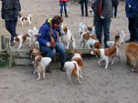 IMG 4067