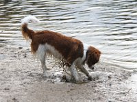 IMG 4075