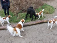 IMG 4076