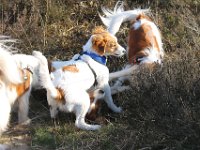 IMG 4150