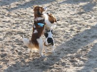 IMG 4174