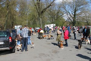 IMG_0165