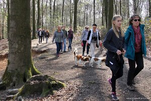 IMG_0174