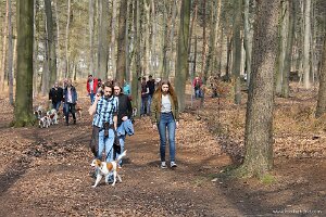 IMG_0200