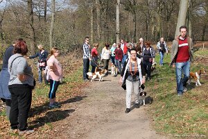 IMG_0211