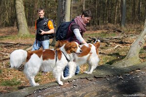 IMG_0220