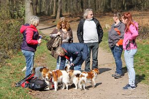 IMG_0229