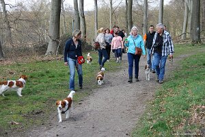 IMG_0230