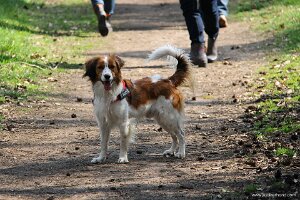IMG_0232