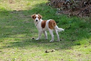 IMG_0233