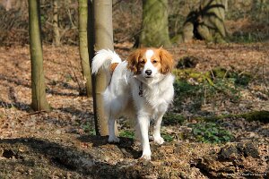 IMG_0235