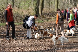 IMG_0240