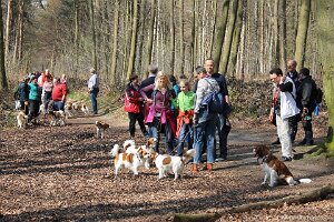 IMG_0242