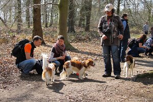 IMG_0245