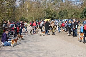 IMG_0248