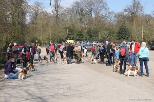 IMG_0249
