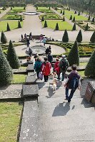 IMG_0259