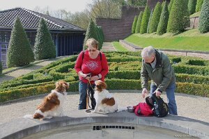 IMG_0260
