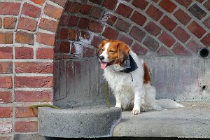 IMG_0297