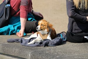 IMG_0298
