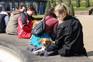 IMG_0300