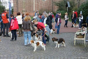 IMG_0320