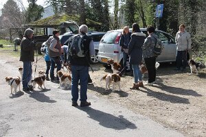 IMG_0001
