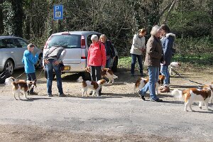 IMG_0002