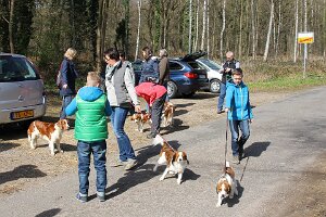 IMG_0003