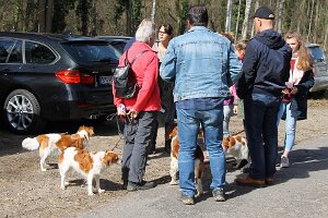 IMG_0014