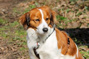 IMG_0030