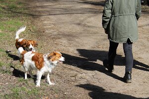 IMG_0044