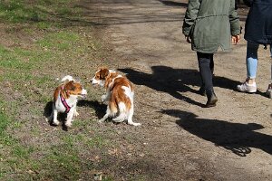 IMG_0046