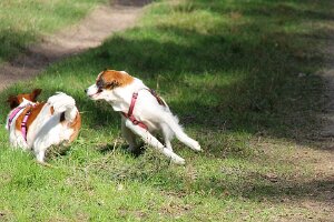 IMG_0050