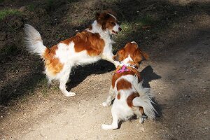 IMG_0052