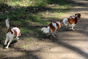 IMG_0055