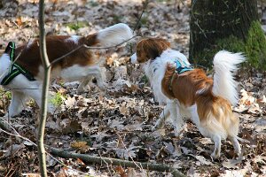 IMG_0058
