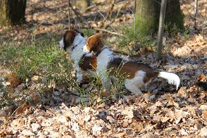 IMG_0073