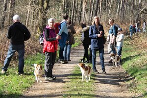 IMG_0110