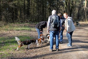 IMG_0115
