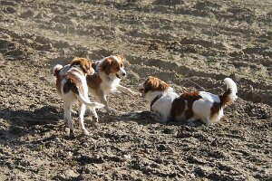 IMG_0140