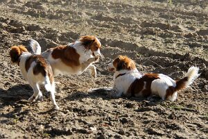 IMG_0143