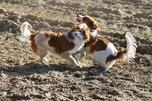 IMG_0144