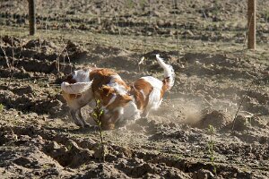 IMG_0153