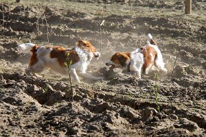 IMG_0154